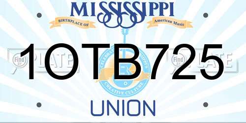 1OTB725 Mississippi License Plate