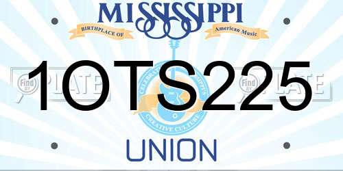 1OTS225 Mississippi License Plate