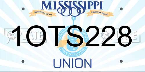 1OTS228 Mississippi License Plate
