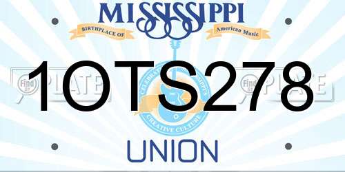 1OTS278 Mississippi License Plate