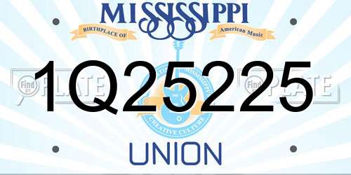 1Q25225 Mississippi License Plate