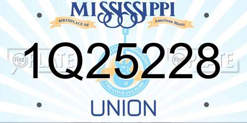 1Q25228 Mississippi License Plate