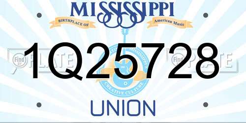 1Q25728 Mississippi License Plate