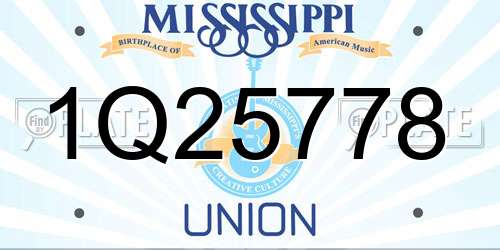 1Q25778 Mississippi License Plate