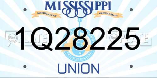 1Q28225 Mississippi License Plate
