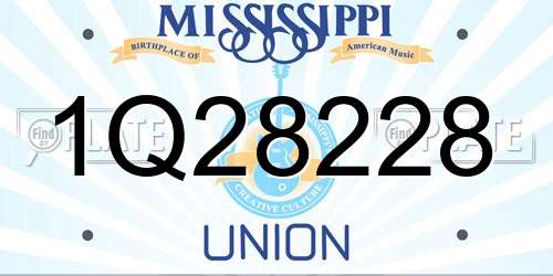 1Q28228 Mississippi License Plate