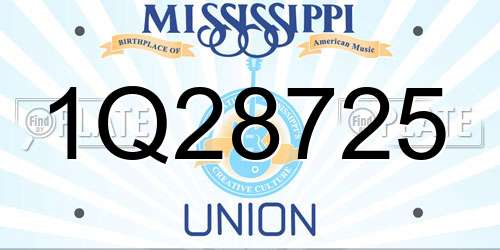1Q28725 Mississippi License Plate