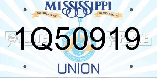 1Q50919 Mississippi License Plate