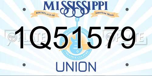 1Q51579 Mississippi License Plate