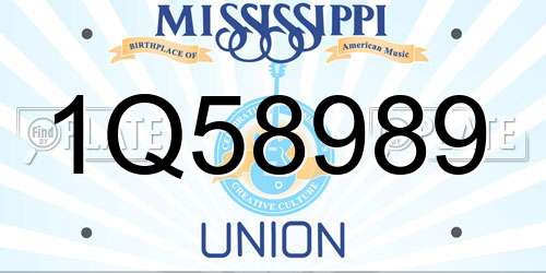 1Q58989 Mississippi License Plate
