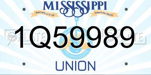 1Q59989 Mississippi License Plate