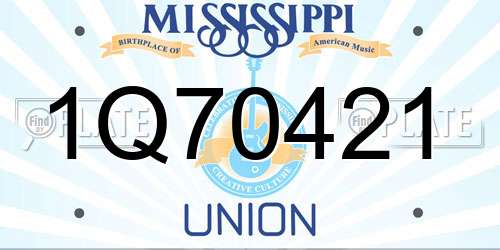 1Q70421 Mississippi License Plate