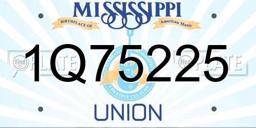 1Q75225 Mississippi License Plate
