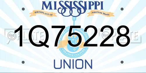 1Q75228 Mississippi License Plate