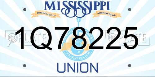1Q78225 Mississippi License Plate