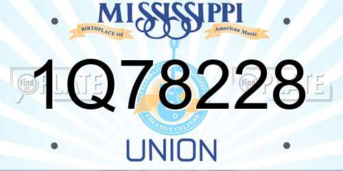 1Q78228 Mississippi License Plate