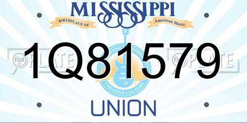1Q81579 Mississippi License Plate