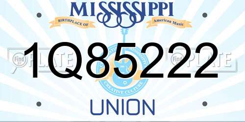 1Q85222 Mississippi License Plate