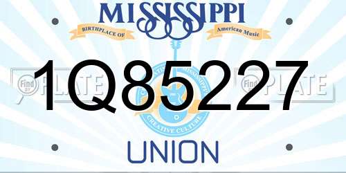 1Q85227 Mississippi License Plate