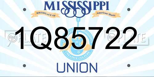 1Q85722 Mississippi License Plate