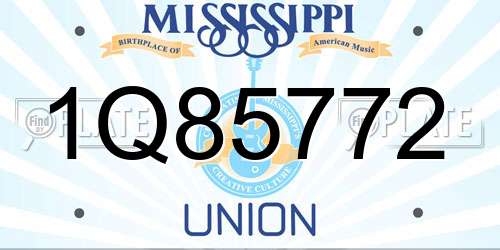 1Q85772 Mississippi License Plate