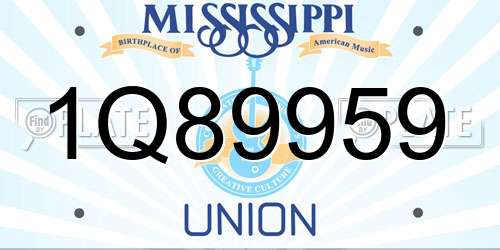 1Q89959 Mississippi License Plate