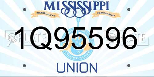 1Q95596 Mississippi License Plate