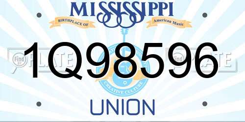 1Q98596 Mississippi License Plate