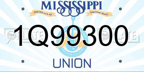 1Q99300 Mississippi License Plate
