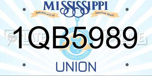 1QB5989 Mississippi License Plate