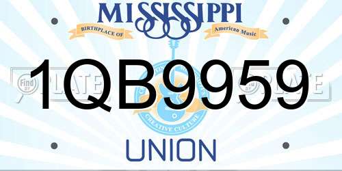 1QB9959 Mississippi License Plate