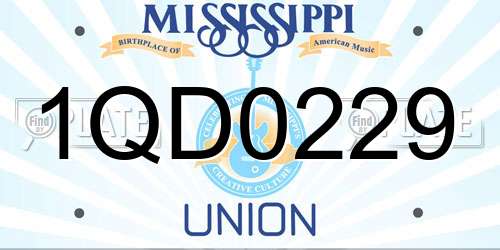 1QD0229 Mississippi License Plate