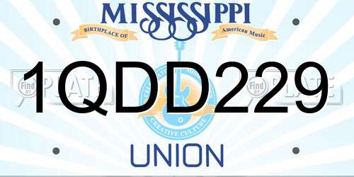 1QDD229 Mississippi License Plate