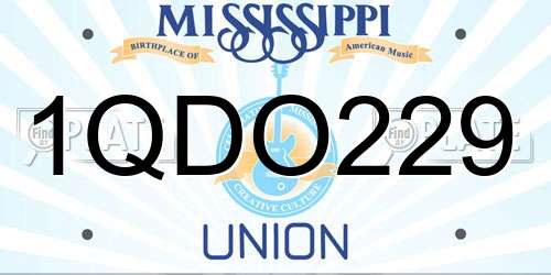 1QDO229 Mississippi License Plate