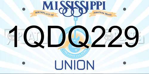 1QDQ229 Mississippi License Plate