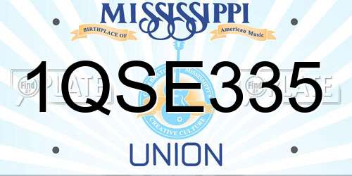 1QSE335 Mississippi License Plate