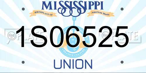 1S06525 Mississippi License Plate
