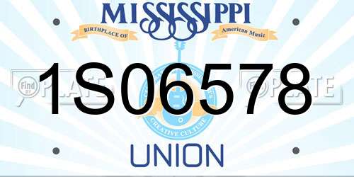 1S06578 Mississippi License Plate