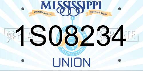 1S08234 Mississippi License Plate
