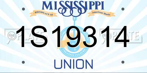 1S19314 Mississippi License Plate