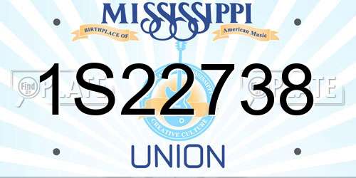 1S22738 Mississippi License Plate