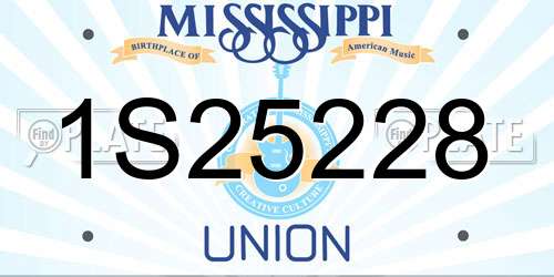 1S25228 Mississippi License Plate