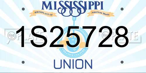 1S25728 Mississippi License Plate