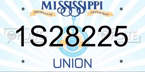 1S28225 Mississippi License Plate