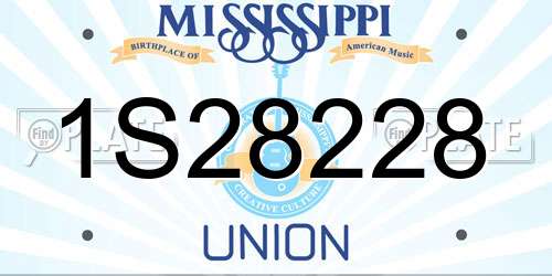 1S28228 Mississippi License Plate