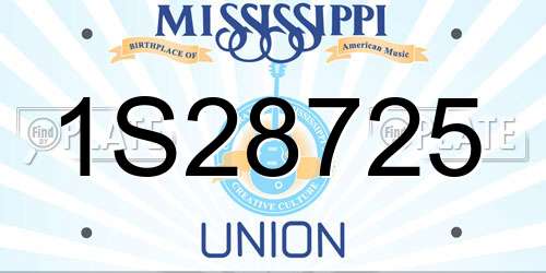 1S28725 Mississippi License Plate