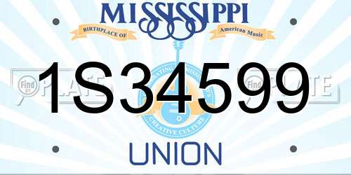 1S34599 Mississippi License Plate