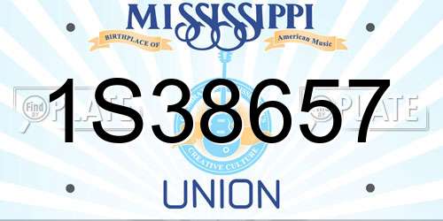 1S38657 Mississippi License Plate
