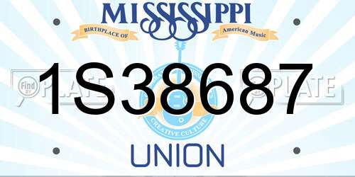 1S38687 Mississippi License Plate