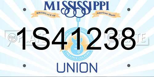 1S41238 Mississippi License Plate